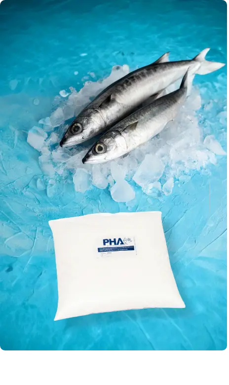 Gel Refrigerante para Carga en Cadena de Frío