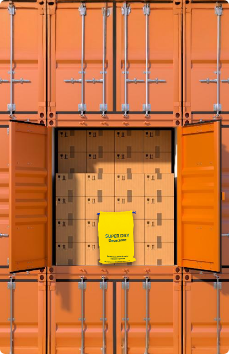 Evita Moho y Humedad en tus Exportaciones