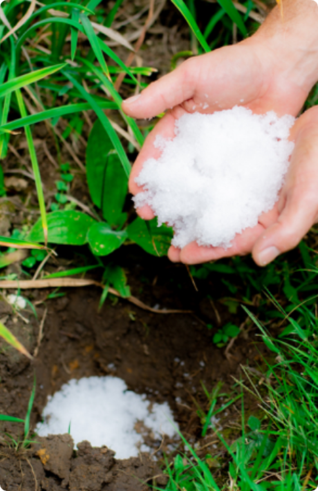 Cultiagua: Ahorra Agua y Protege tus Cultivos