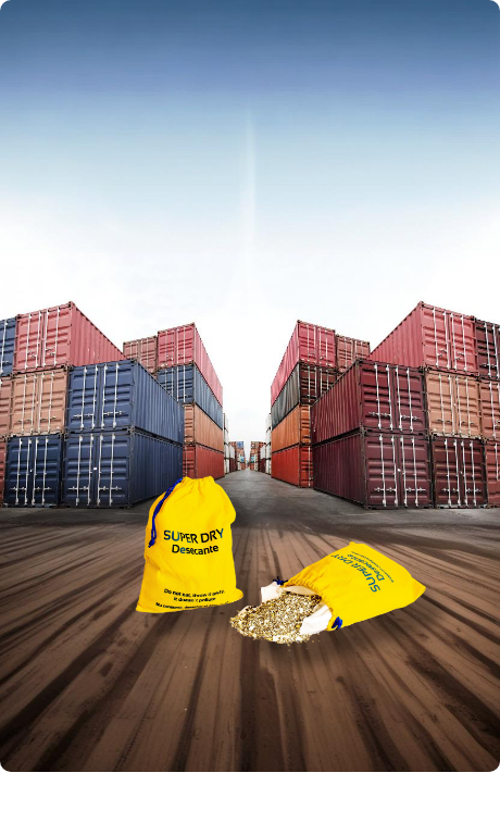 Evita Moho y Humedad en tus Exportaciones