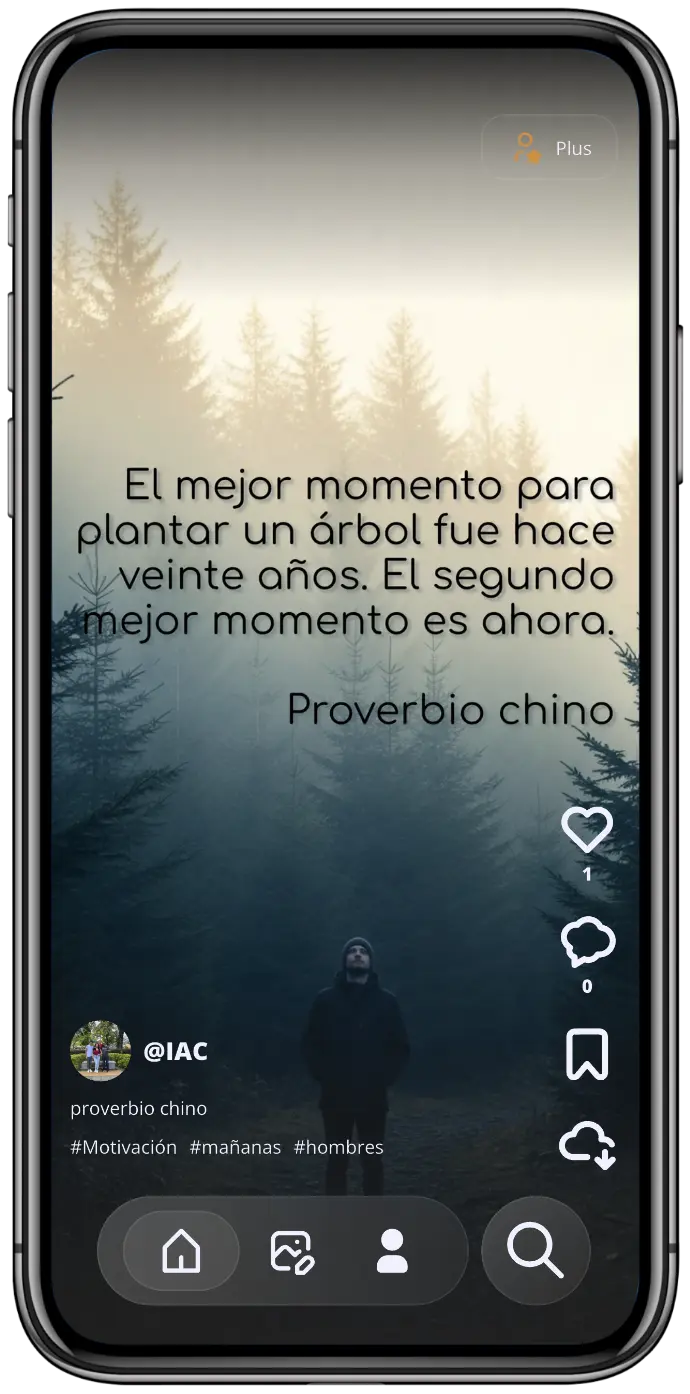 ¿Cómo funciona Belivet?