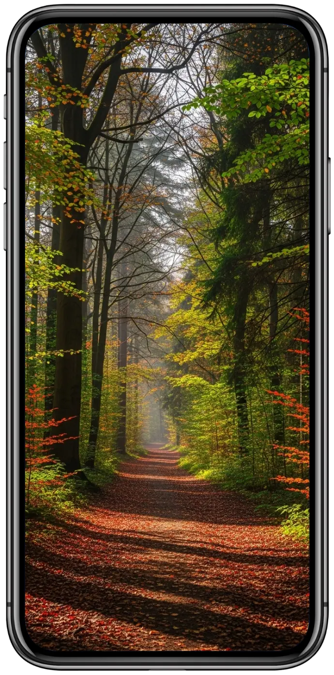 Inspiración convertida en imagen